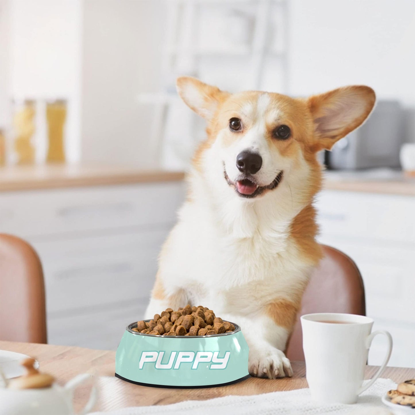 Pet Bowl