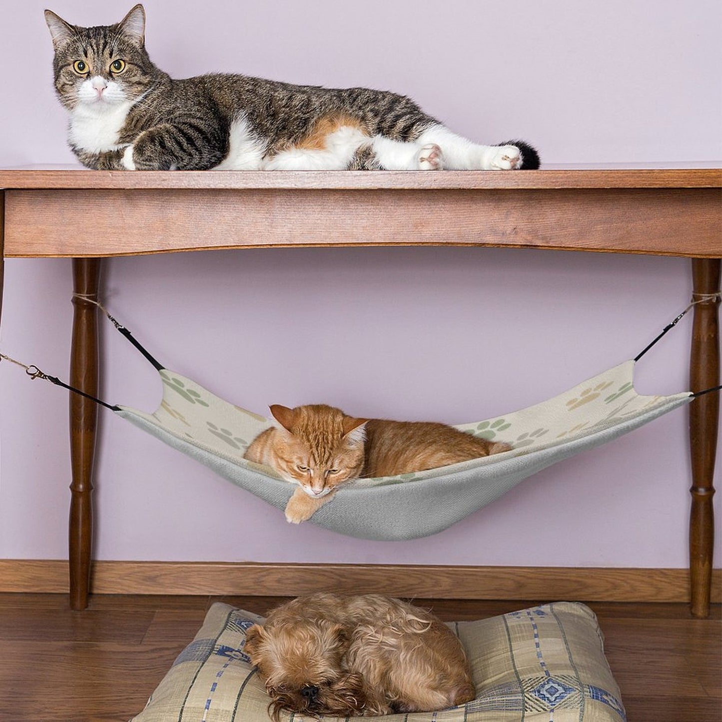 Design Pet Hammock