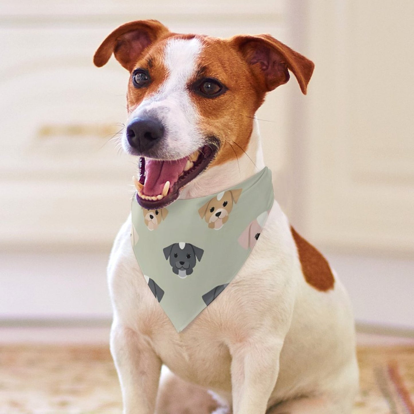 Design Pet Scarf