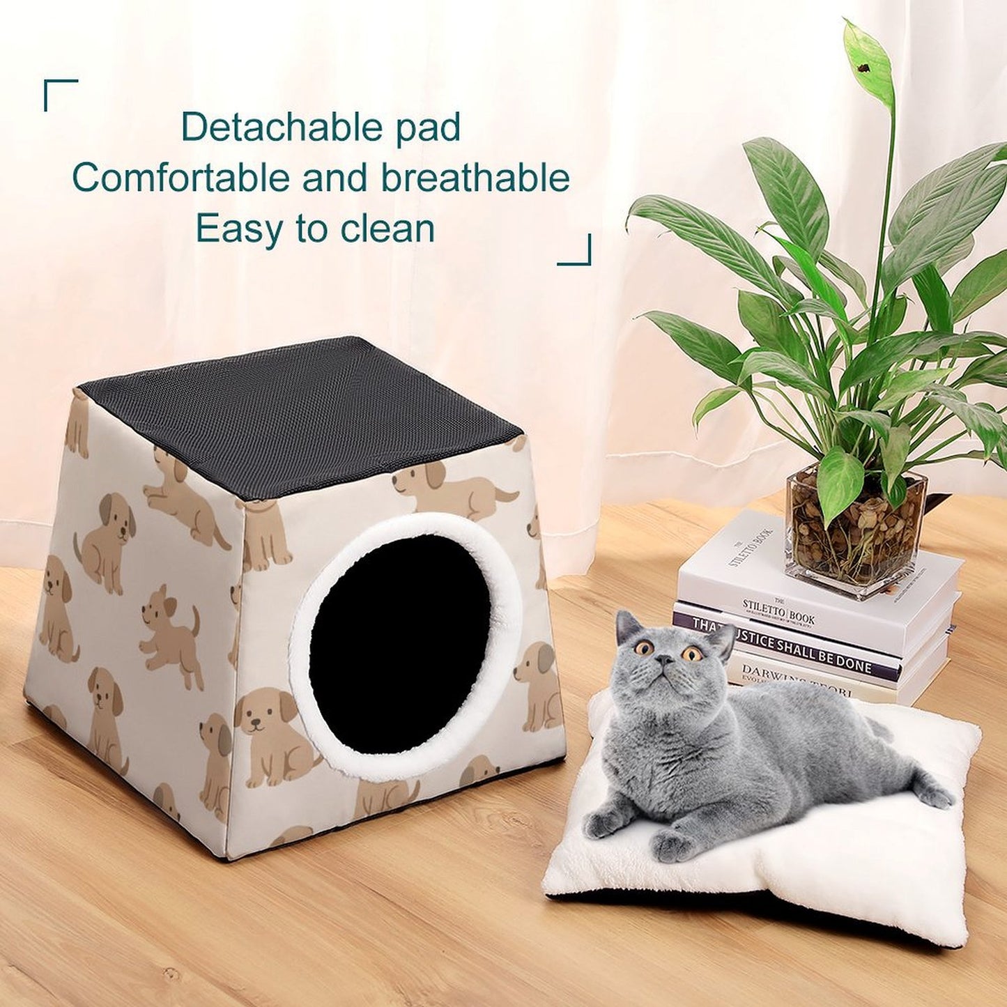 Design Capsule Pet Waterloo