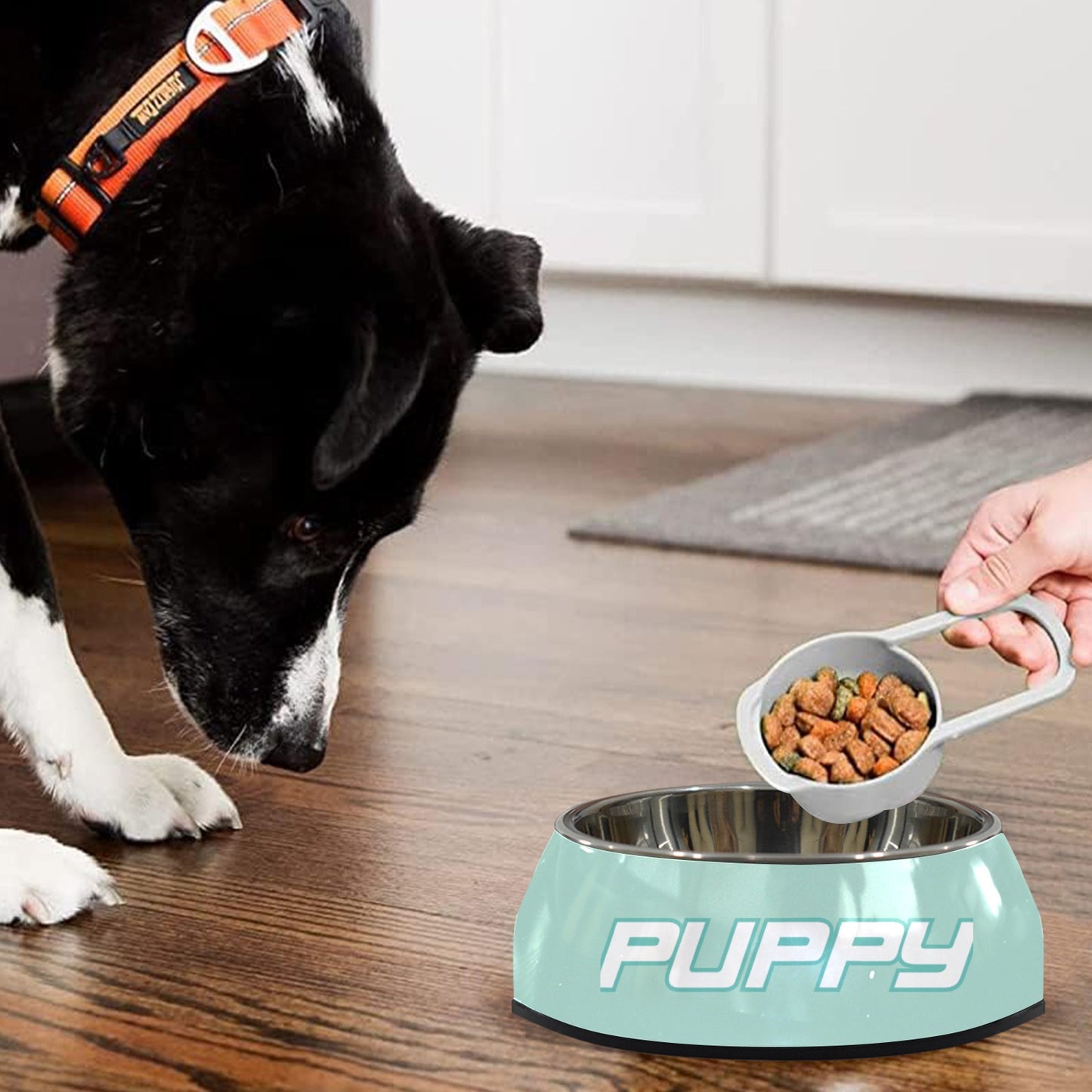 Pet Bowl