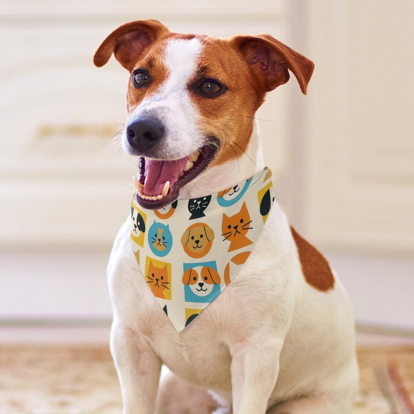 Design Pet Scarf