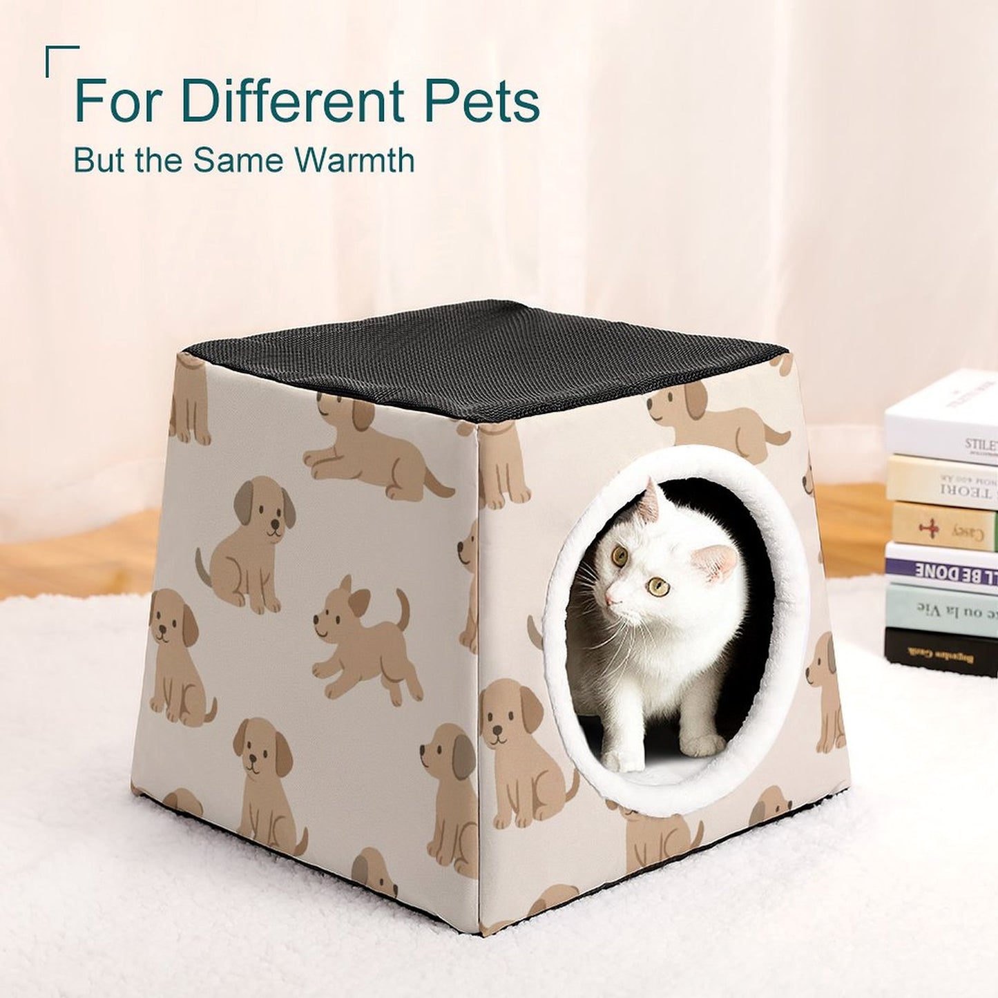 Design Capsule Pet Waterloo