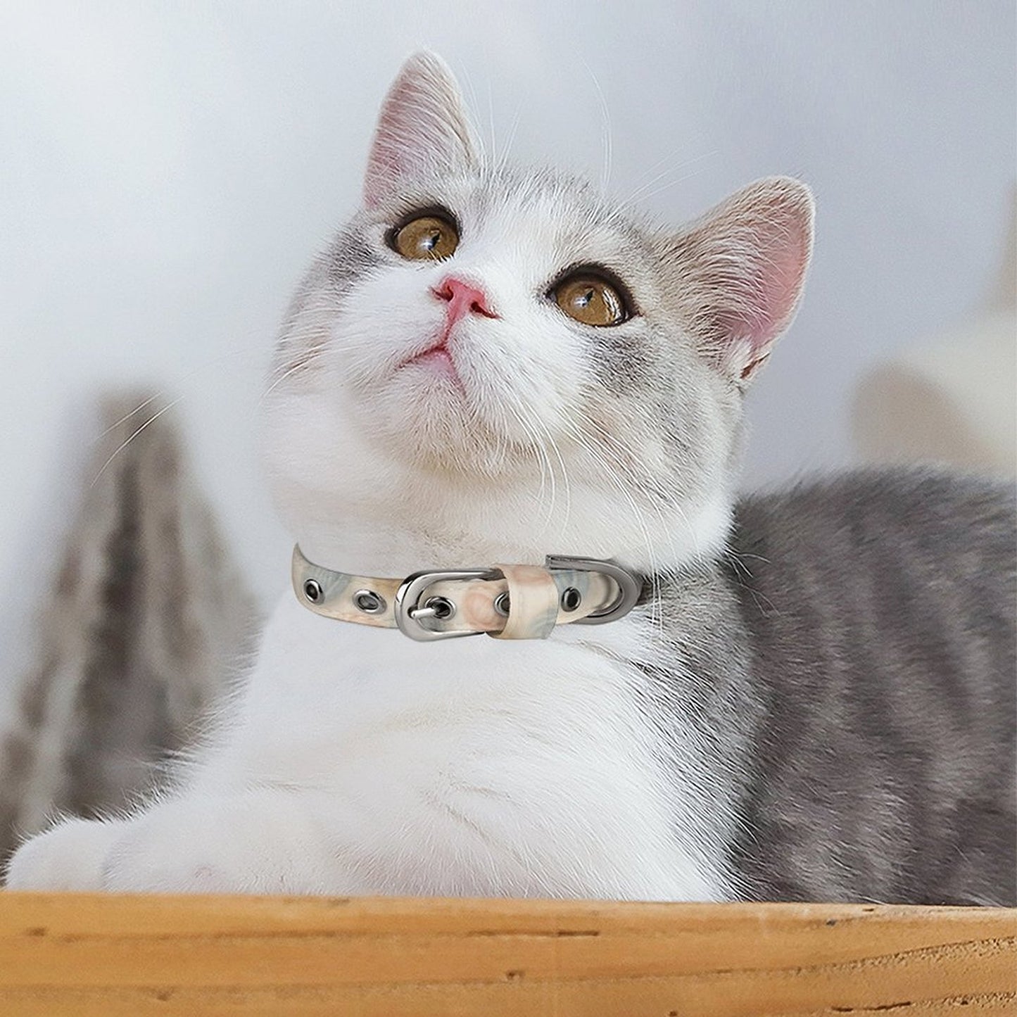 Design Pet collar (Q025 )