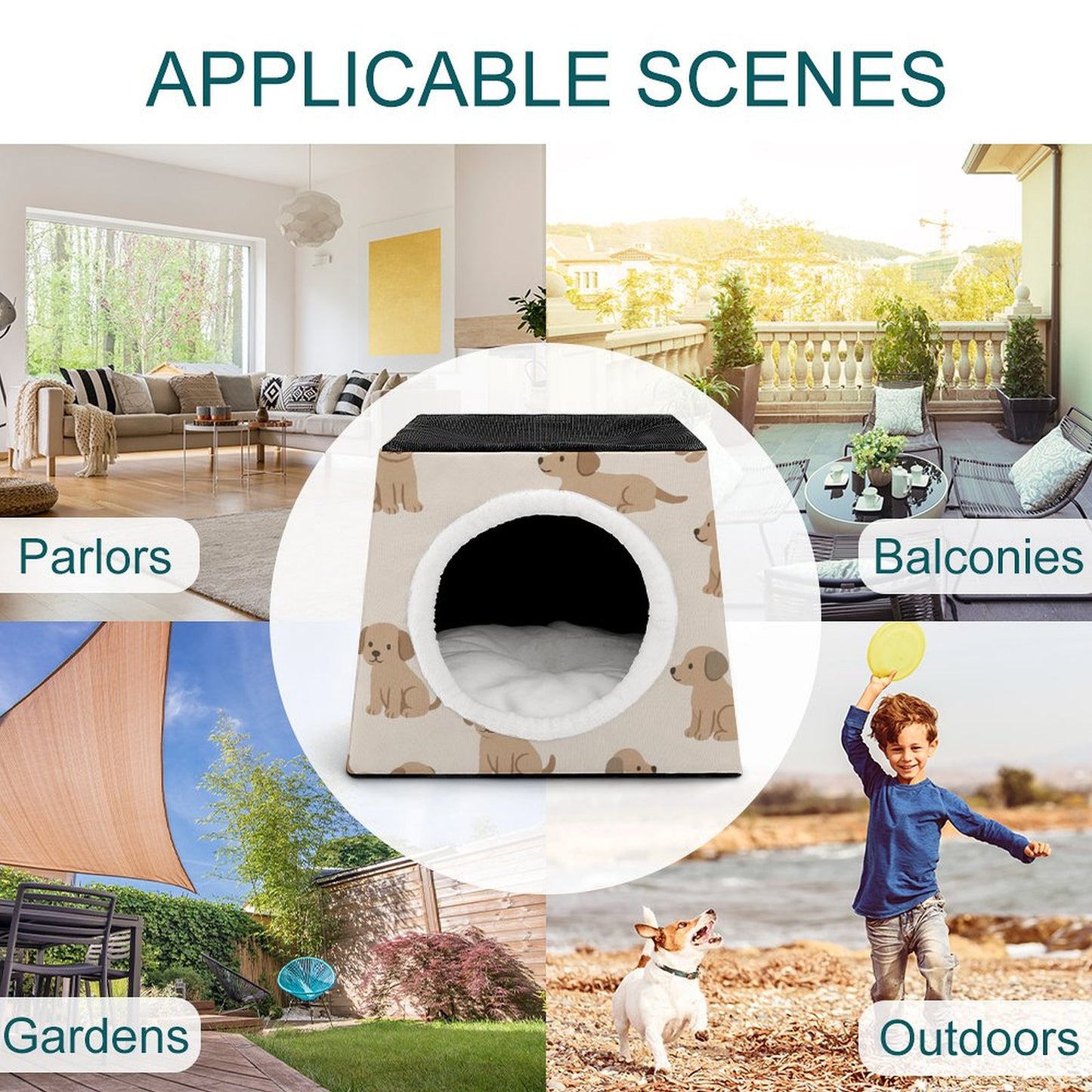 Design Capsule Pet Waterloo