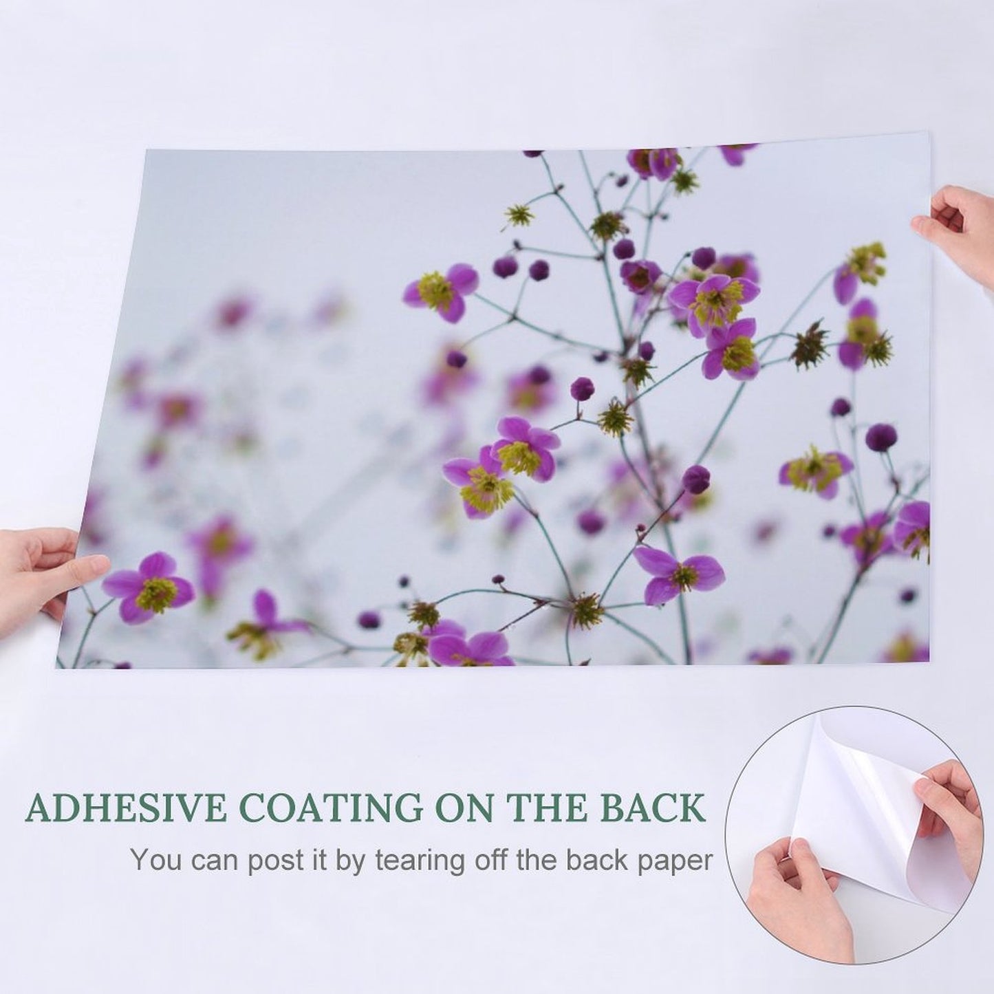 Design Self Adhesive Poster (Horizontal)