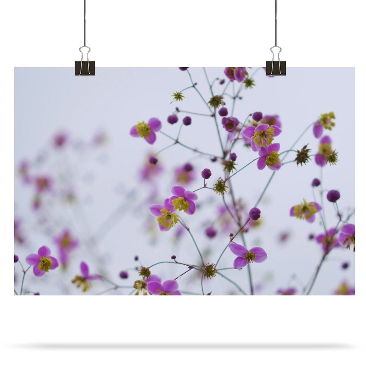 Design Self Adhesive Poster (Horizontal)