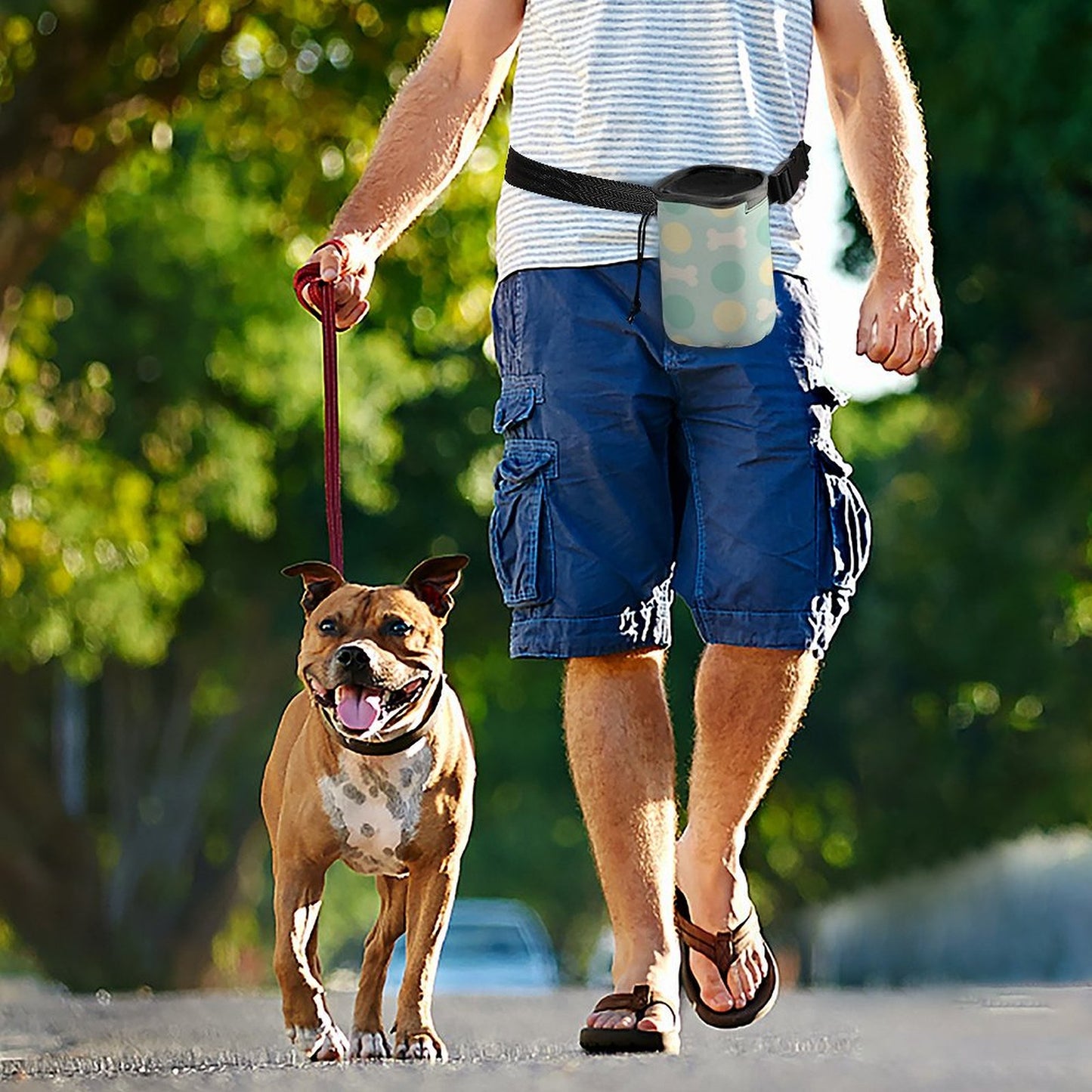 Design Pet Training Package (A007)